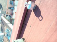 /album/foto%c4%9fraflar%3a-hizmetler/a255-jpg/