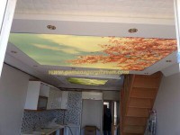 /album/foto%c4%9fraflar%3a-hizmetler/a464-jpg/